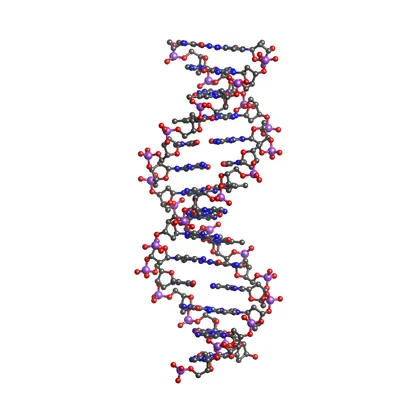 DNA