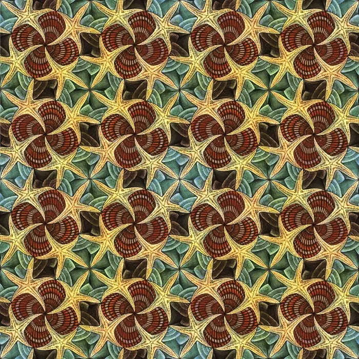 3. "Shells and Starfish" by M. C. Escher and its Fourier transform (crystal size: 40 unit cells radius), real space
