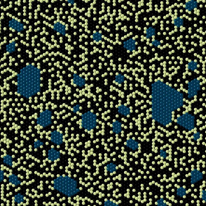 6. Ocellated lizard skin pattern produced by MC simulations and its Fourier transform (crystal size: 100 unit cell radius; inspired by "Lizard Skin Patterns and the Ising Model" by S. Zakany et al.), real space