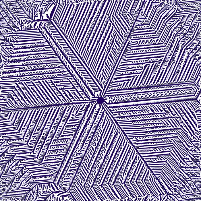 27. Dendritic structure (Kobayashi model) and its Fourier transform., real space
