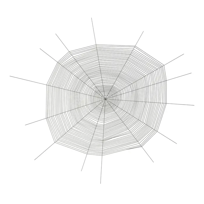 38. A spider web and its Fourier transform, real space